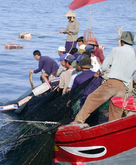 Vietnam protesta prohibición de China de captura de peces en Mar Oriental - ảnh 1